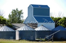 Shamrock
area farm
July 2007